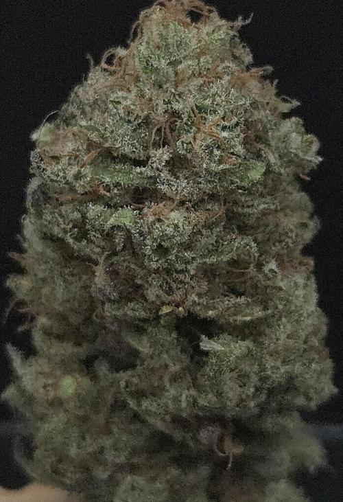 A.Moonrocks #3. Week 16
