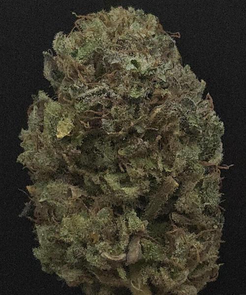 A.Moonrocks #3. Week 16