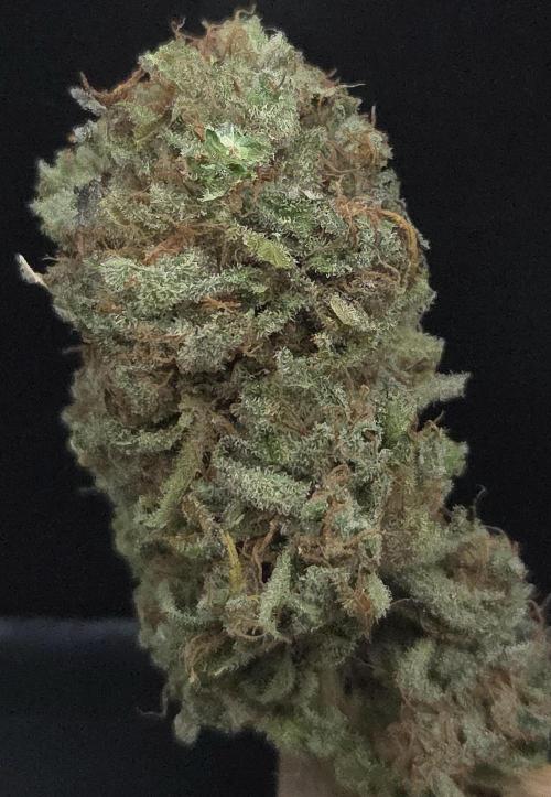 A.Moonrocks #3. Week 16