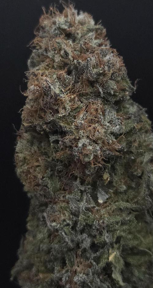 A.Moonrocks #3. Week 16