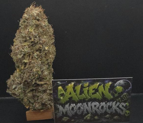A.Moonrocks #3. Week 16