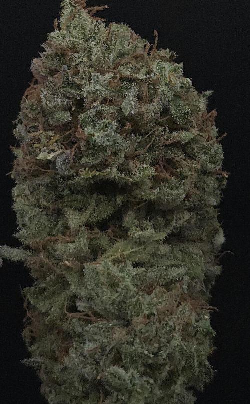 A.Moonrocks #3. Week 16