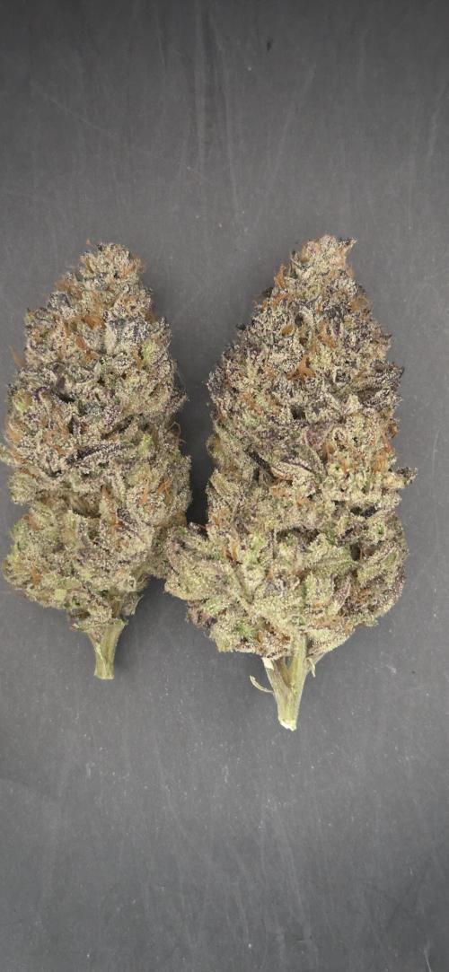 Guava Spritz. Week 16