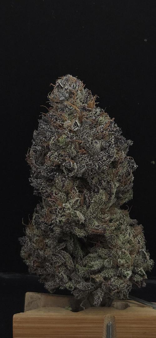Guava Spritz. Week 16
