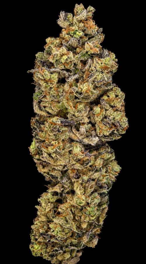 Barcelona Puff. Week 16