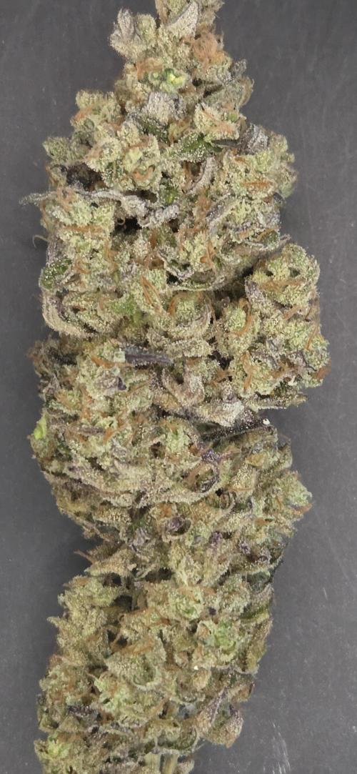 Barcelona Puff. Week 16