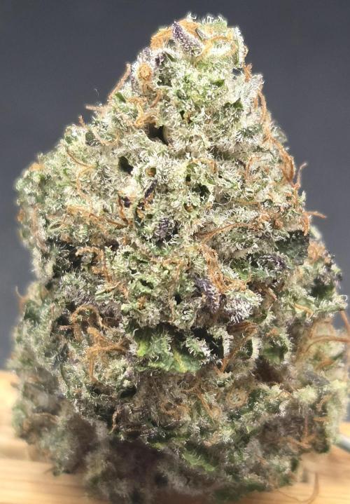 Sunset Peach. Week 13