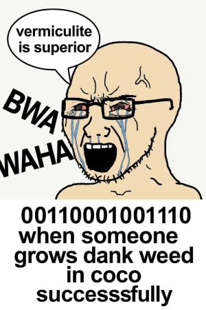 Comment by Yan420 photo #1