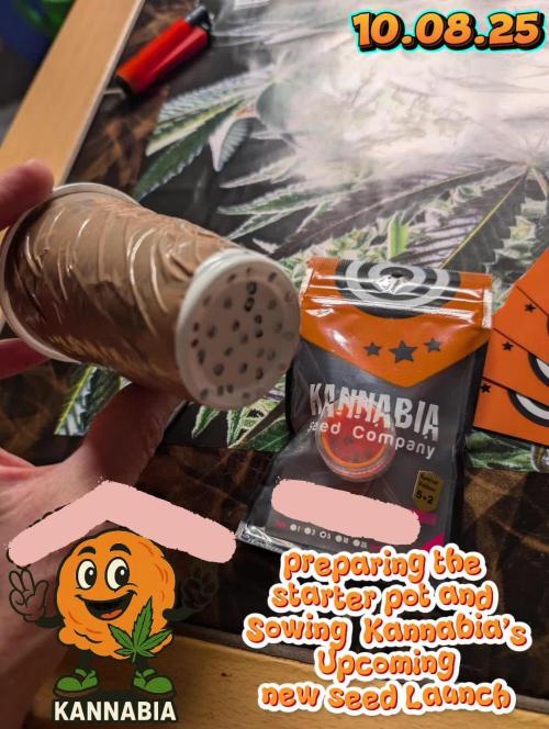 NEW EXCLUSIVE Upcoming Kannabia Launch