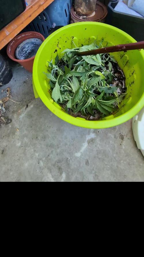 FERMAKOR BASE SYSTEM KOH VERSION