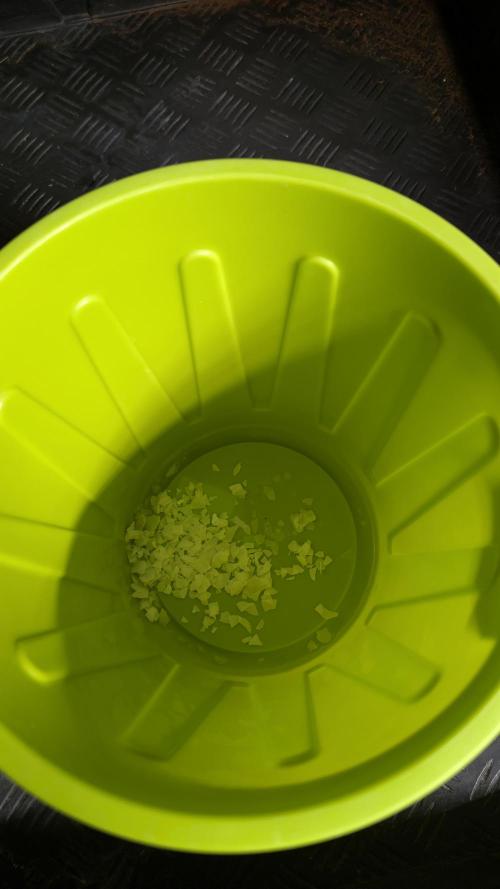 🐟💀 FERMAKOR: The Dorade Incident. Week 0