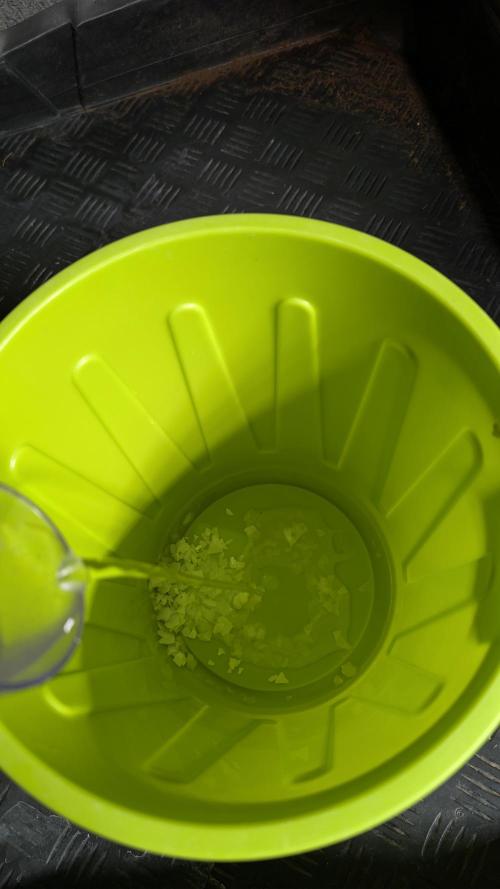 🐟💀 FERMAKOR: The Dorade Incident. Week 0