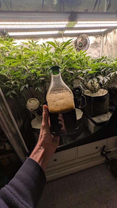 FERMAKOR BASE SYSTEM KOH VERSION. Week 8