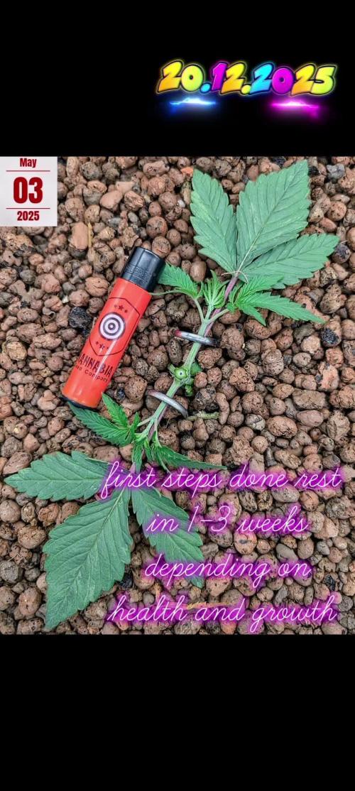 Not part of GD anymore