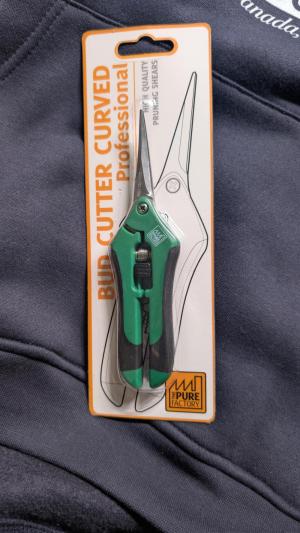 Comment by Yan420 photo #4