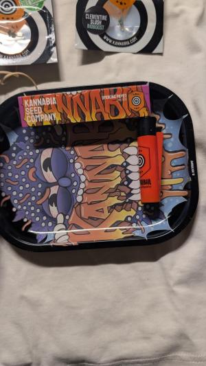 Comment by Yan420 photo #5