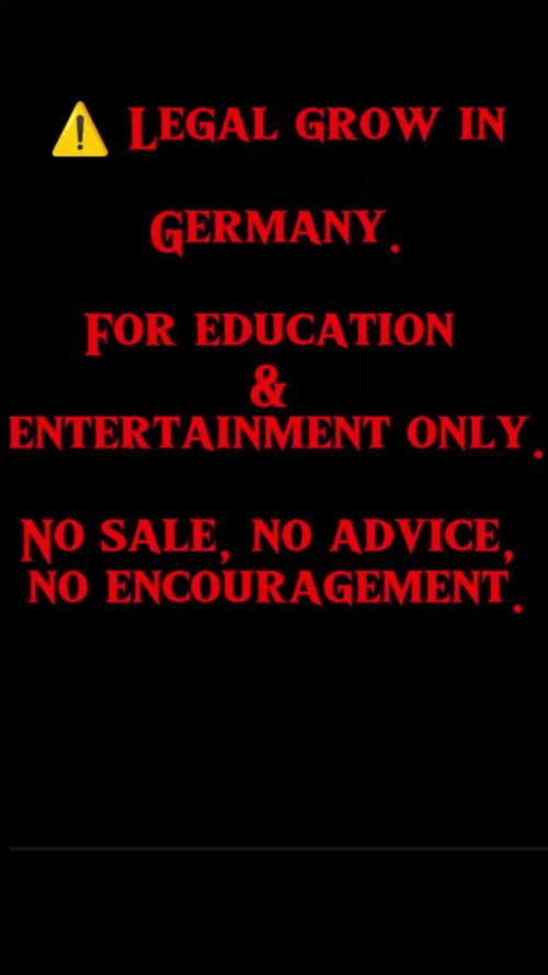 Nutrient inputs, Sunset Sherbet GF