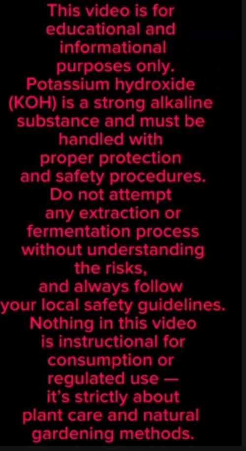 Nutrient inputs, Sunset Sherbet GF. Week 0