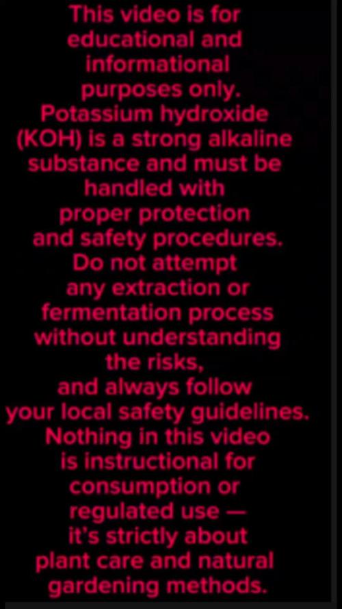 Nutrient inputs, Sunset Sherbet GF