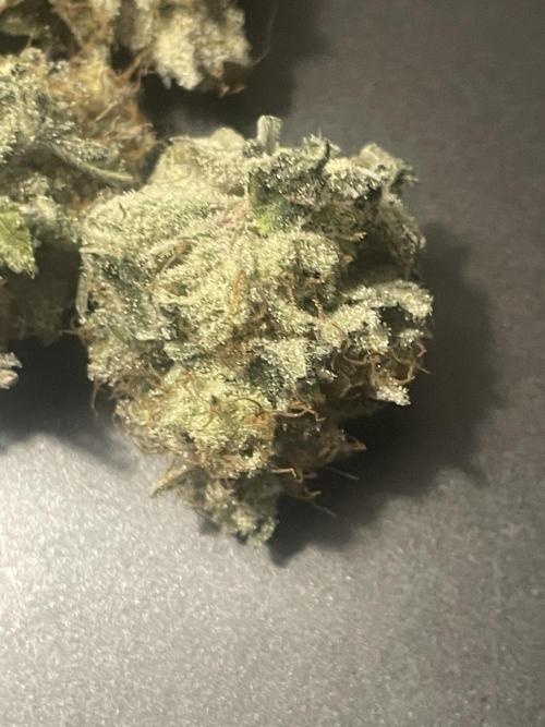 Purple Marmalade Pheno Hunt Living Soil. Week 13 - Close up of bud December 2nd