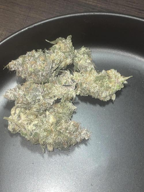 Purple Marmalade Pheno Hunt Living Soil. Week 15 - Bud close up directly after trim