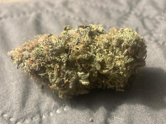 Purple Marmalade Pheno Hunt Living Soil. Week 15 - Pheno 3. Super gassy. 