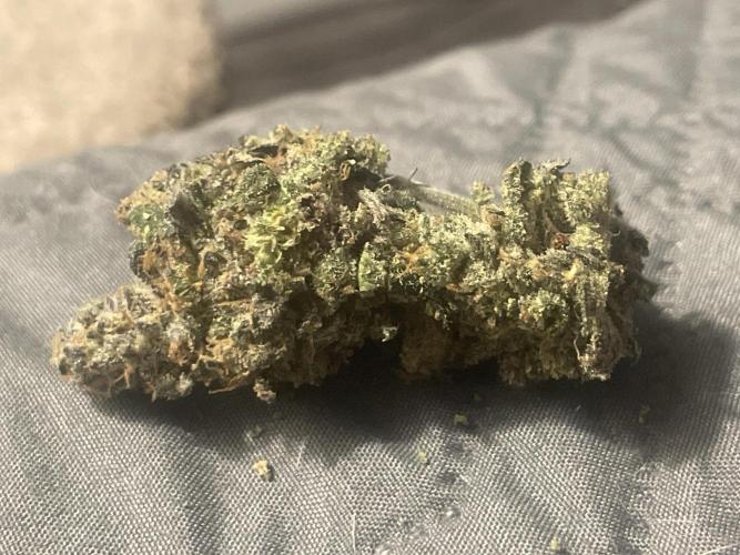 Purple Marmalade Pheno Hunt Living Soil. Week 15 - Pheno 2, super fruity and spicy