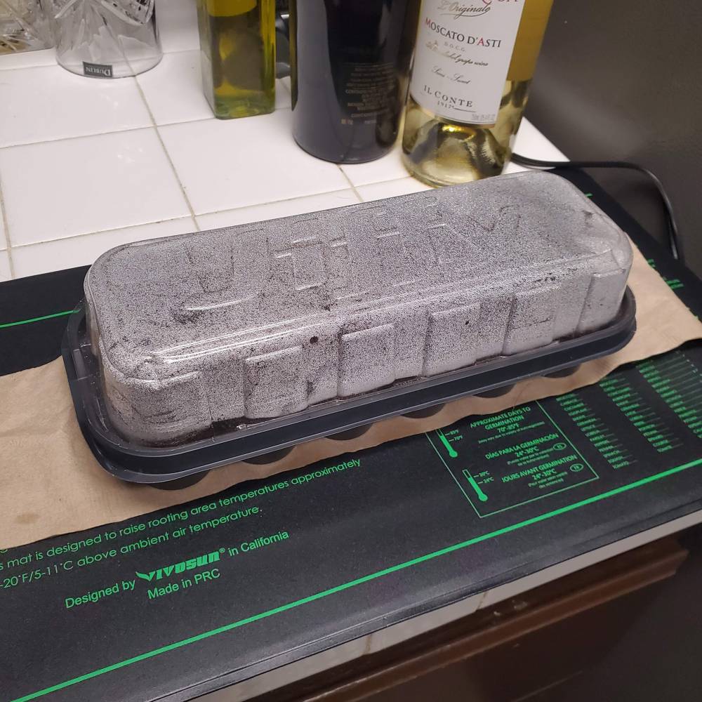 Super lemon Haze, Gorilla Zkittlez, Girls scout cookies x Jack herer