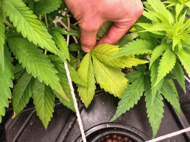 full contrl mix. Week 3