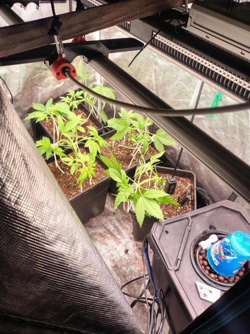 full contrl mix. Week 3