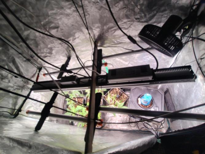 full contrl mix. Week 3