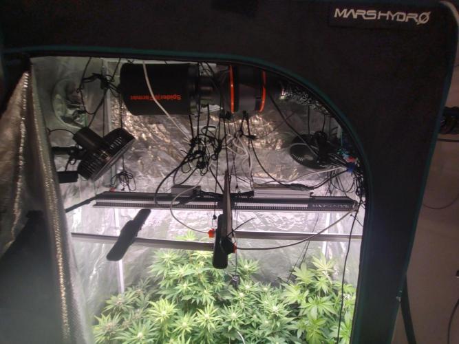 full contrl mix. Week 4