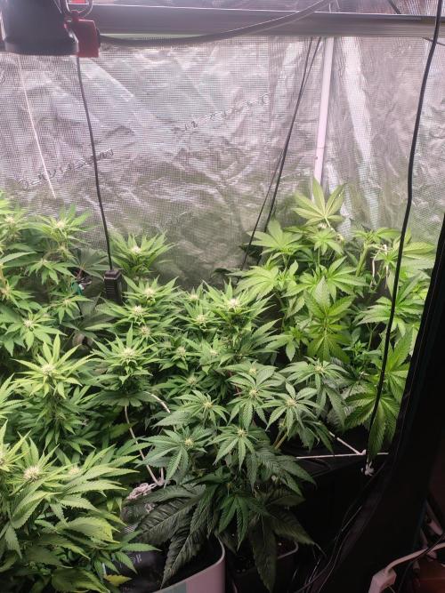 full contrl mix. Week 4