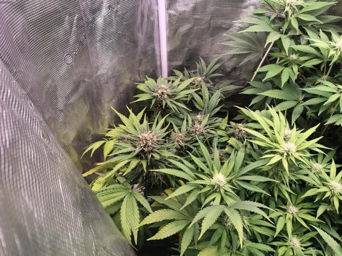 full contrl mix. Week 4