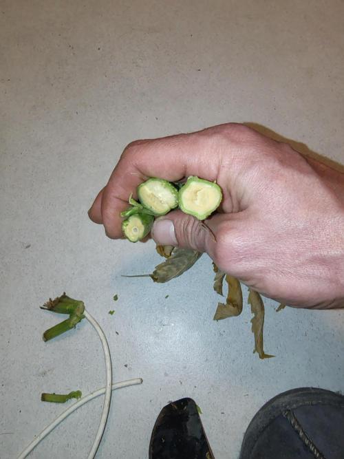 full contrl mix. Week 7