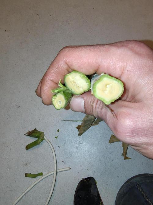 full contrl mix. Week 7