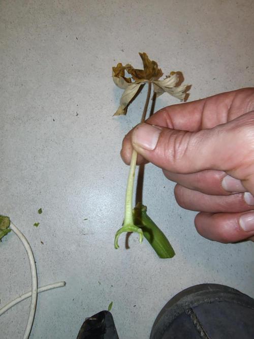 full contrl mix. Week 7