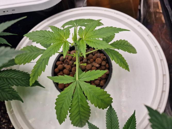 Another Love. Week 3