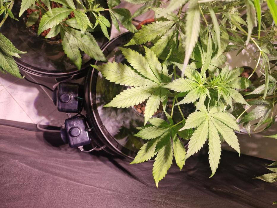 Another Love. Week 5