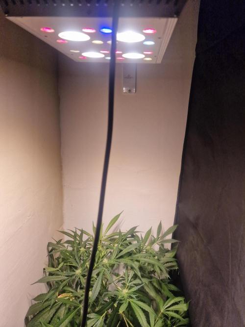 Another Love. Week 8