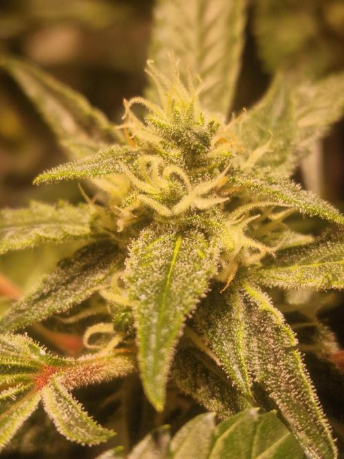 Another Love. Week 9