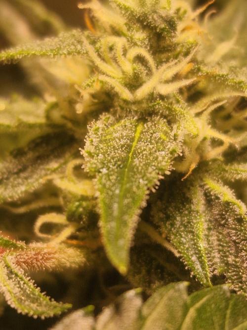 Another Love. Week 9