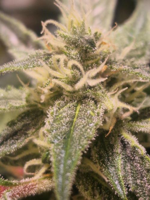 Another Love. Week 9