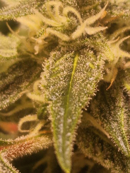 Another Love. Week 9