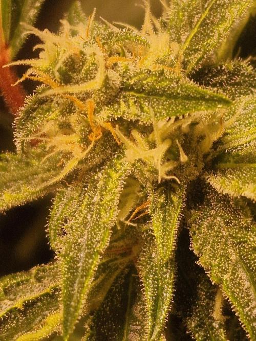 Another Love. Week 9