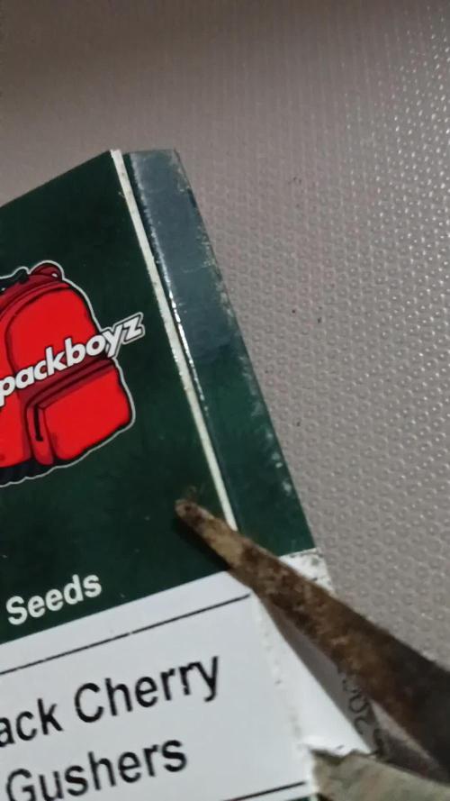 H A A R L E M M E R S T R A A T  102