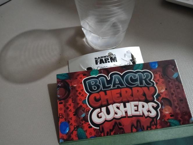 H A A R L E M M E R S T R A A T  102. Week 0