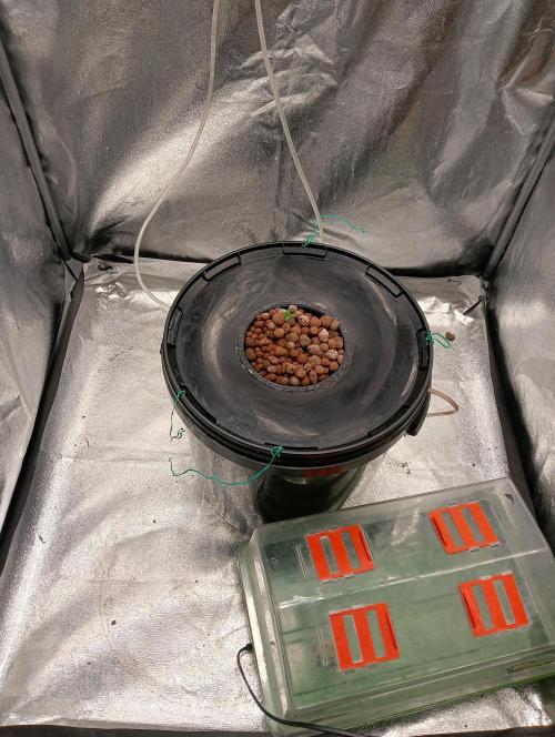 H A A R L E M M E R S T R A A T  102. Week 0