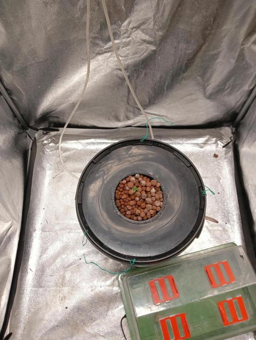 H A A R L E M M E R S T R A A T  102. Week 0