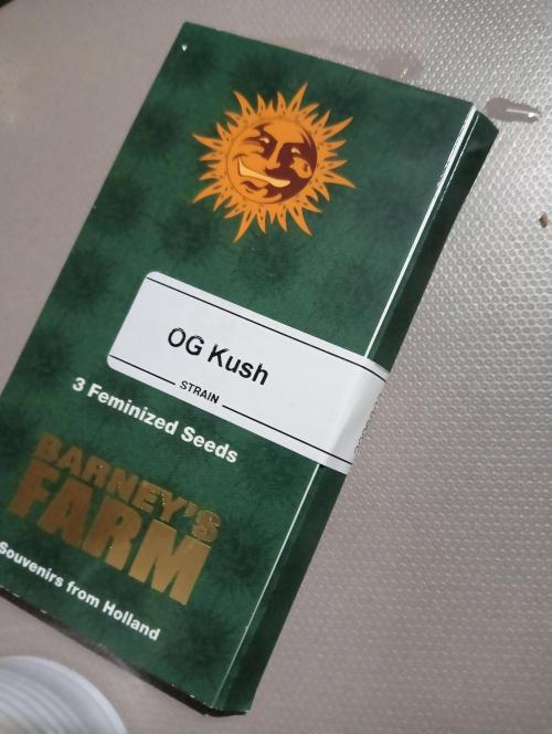 O. G. Diamond. Week 0